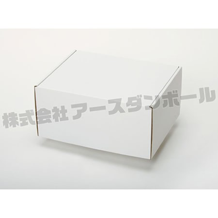 250×197×118(N式額縁)(白)-2