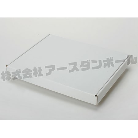 小さめの絵画作品などの梱包にも使われる箱 | 宅配サイズ60(266 小さめの絵画作品などの梱包にも使われる箱 | 宅配サイズ60(266