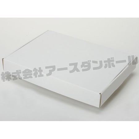 278×203×35(N式額縁)(白)-2