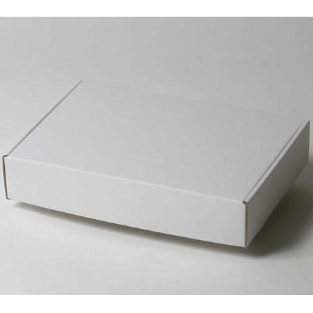 Ｂ5マニュアル同梱型ＣＤ梱包専用箱　20 枚