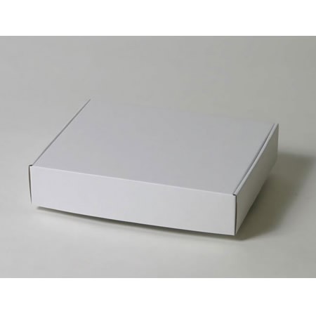 宅配60サイズ】油絵F3号キャンバス梱包用ダンボール箱 | 286×230