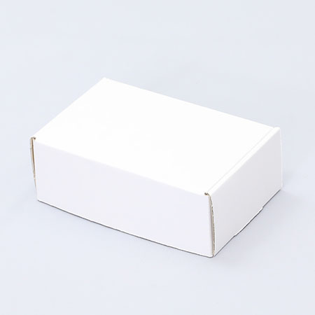 155×100×55(N式額縁)(白)-2