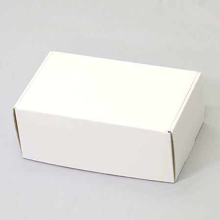 250×150×100(N式額縁)(白)-2