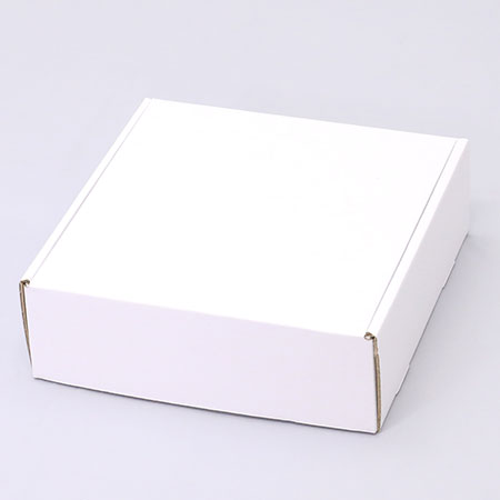 300×300×100(N式額縁)(白)-2