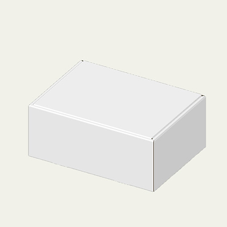 300×218×128(N式額縁)(白)-2