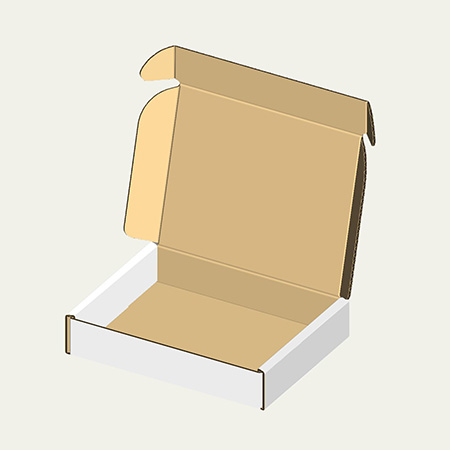 水鉄砲梱包用ダンボール箱 | 216×171×41mmでN式額縁タイプの箱