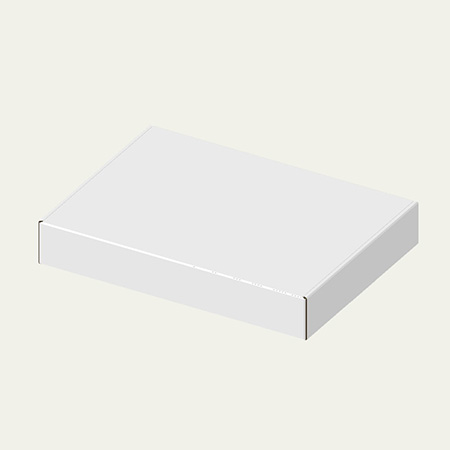 298×219×46(N式額縁)(白)-2