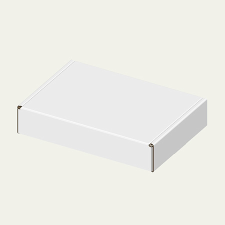 300×215×60(N式額縁)(白)-2