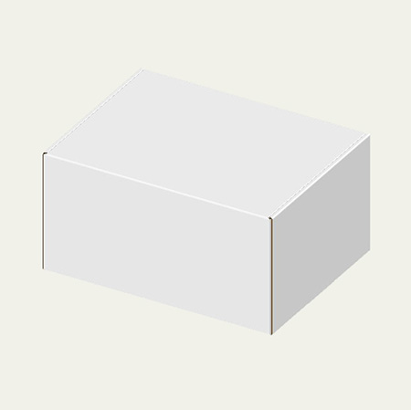 250×190×130(N式額縁)(白)-2