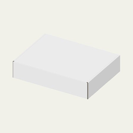 250×190×55(N式額縁)(白)-2