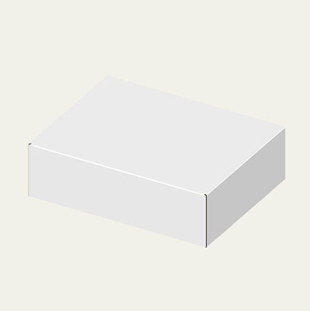 310×243×92(N式額縁)(白)-2