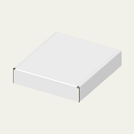 258×305×60(N式額縁)(白)-2