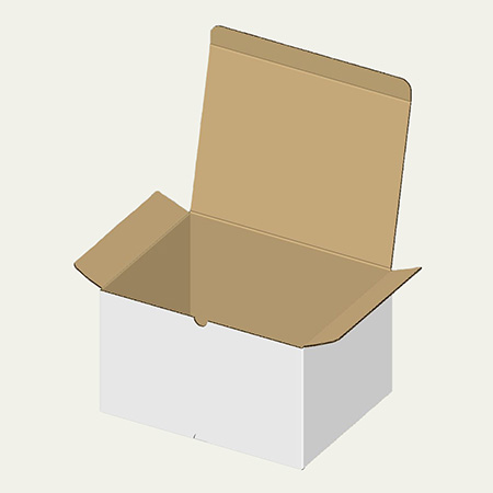 290×220×170(B式キャラメル)(白)