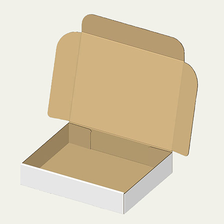 ゴルフグローブ梱包用ダンボール箱 | 250×200×50mmでN式簡易タイプの箱