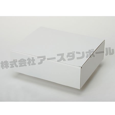220×175×65(蓋差込N式)(白)-2