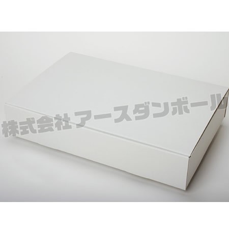505×325×110(蓋差込N式)(白)-2
