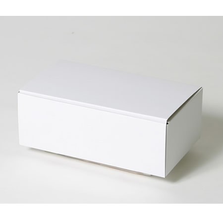 280×150×100(蓋差込N式)(白)-2