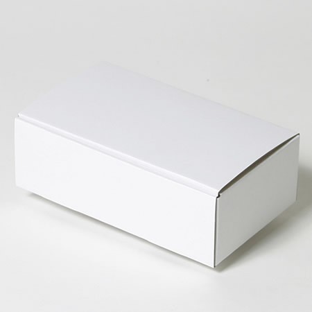220×120×65(蓋差込N式)(白)-2
