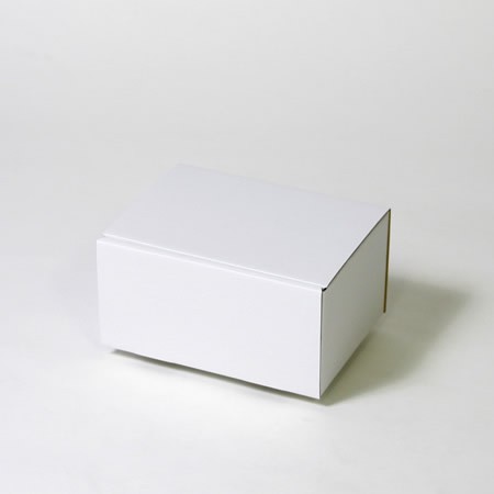 250×180×120(蓋差込N式)(白)-2