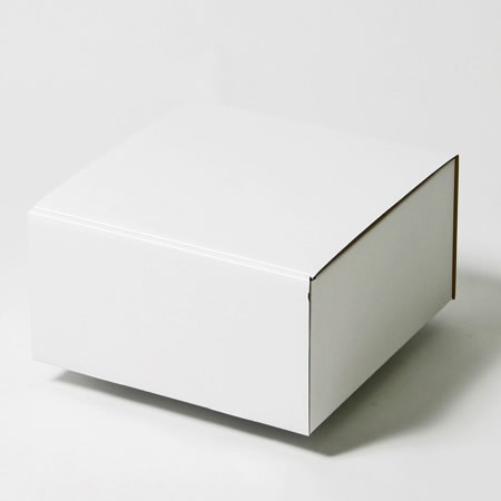 255×255×115(蓋差込N式)(白)-2
