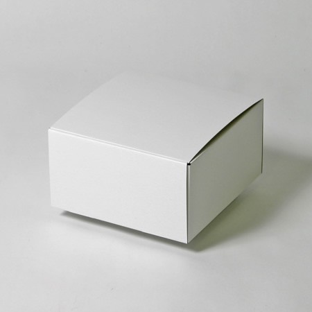 220×220×110(蓋差込N式)(白)-2