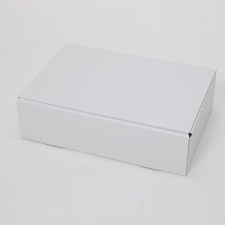338×223×90(N式差込箱)（白）-2