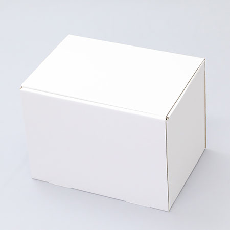 323×220×235(N式差込)(白)-2