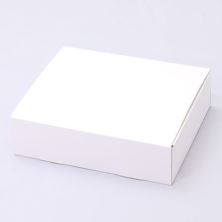 275×225×75(N式差込)(白)-2