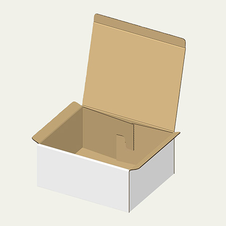 310×250×139(N式差込)(白)-1