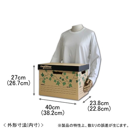 【カラーボックス対応】ダンボール製収納ボックス（アイビー）-2
