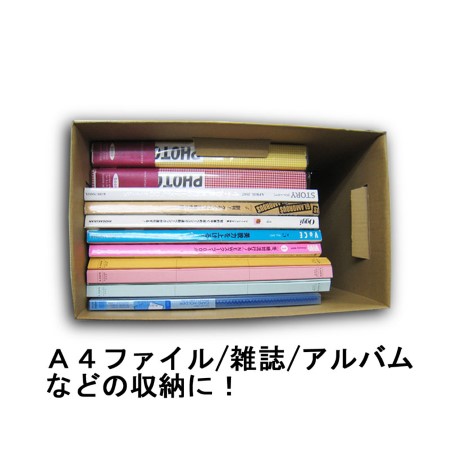【カラーボックス対応】ダンボール製収納ボックス（アイビー）-4