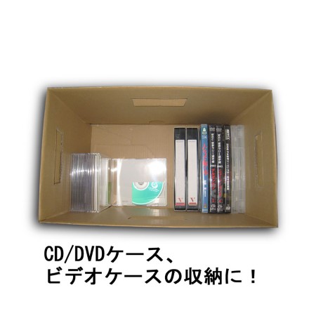 【カラーボックス対応】ダンボール製収納ボックス（アイビー）-5