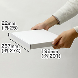 【B5/厚さ2.5cm/表面白】ネコポス対応ダンボール箱