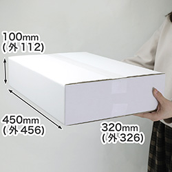薄型商品の発送・梱包に最適。深さ100mmの表面白色で清潔感のある箱(底面A3サイズ)
