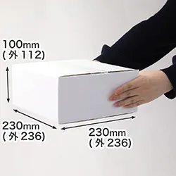 【宅配60サイズ】正方形ダンボール箱 深さ100mm (白)