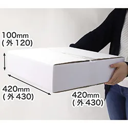 【宅配100サイズ】正方形ダンボール箱 深さ100mm (白)