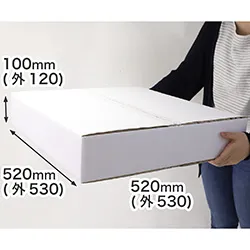 【宅配120サイズ】正方形ダンボール箱 深さ100mm (白)