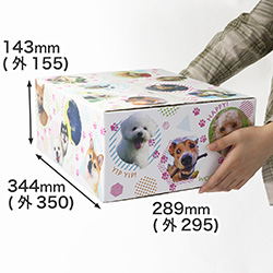 ペット用 犬 猫 小動物 ダンボール箱 格安価格のダンボール 段ボール 通販 購入 販売なら アースダンボール ペット用 犬 猫 小動物 ダンボール箱 格安価格のダンボール 段ボール 通販 購入 販売なら アースダンボール