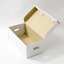 文庫本がきれいに収納可能、手穴付きで持ち運びにも便利な表面白色の収納ボックス