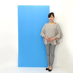 プラダンシート(2.5mm厚)【三六判】ブルー