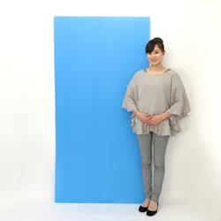 ブルー(4mm厚/600g)熱や水に強く手軽に加工可能なプラダンシート