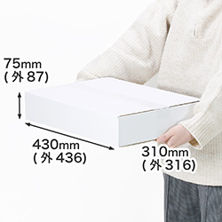 【宅配100サイズ】A3用紙対応 浅型ダンボール箱（白）