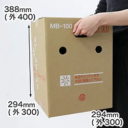 【MB-100(茶)】5～6寸鉢物用フラワーギフトボックス(鉢抑え付)