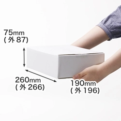 【宅配60サイズ】発送用 小型ダンボール箱 B5サイズ対応(白)まとめ買い
