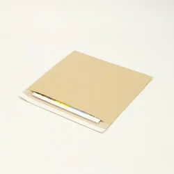 ダンパック封筒[350×325+(50)]ダンボール