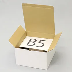 ドームカバー梱包用ダンボール箱 | 274×274×169mmでB式底組タイプの箱