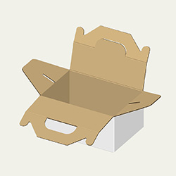 145×100×65(B式ワンタッチ手提付き)(白)