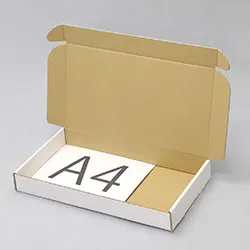 451×251×53mmでN式額縁タイプの箱