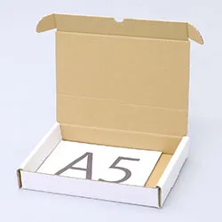 248×181×36mmでN式額縁タイプの箱