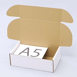 291×171×94(N式額縁)(白)